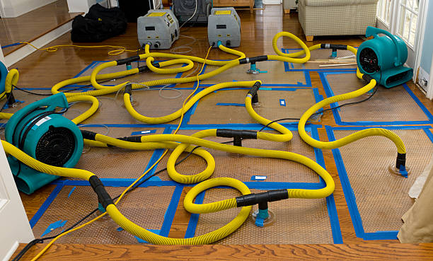 Professional Sewage Cleanup technician working in Lubbock, TX